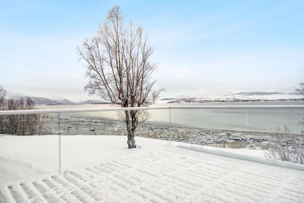 Hus Med Egen Strandlinje Tromso Ngoại thất bức ảnh